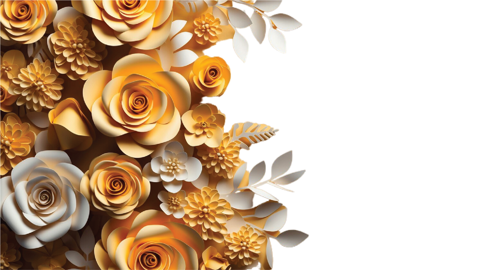 Asset 12Buchati Web Assets