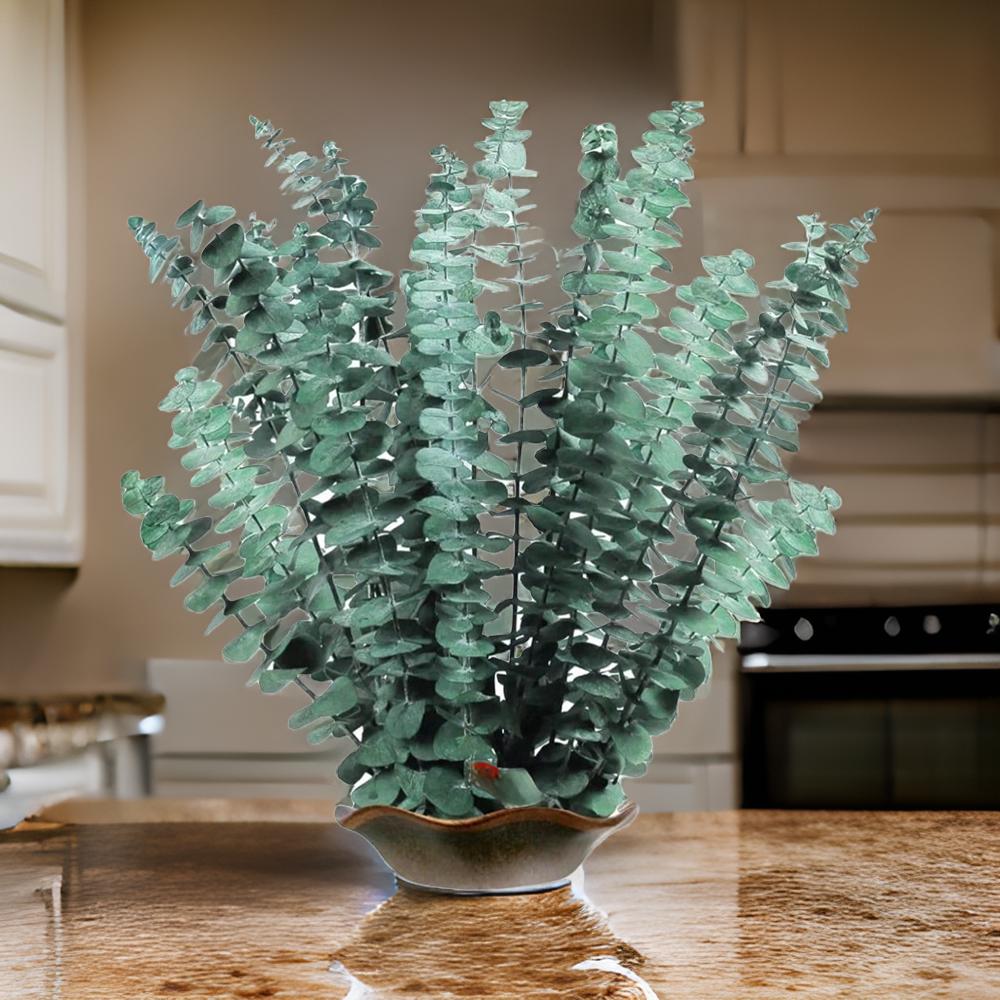 Buchati Gambier Blooms